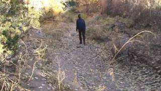 Meet Natalie Goldberg