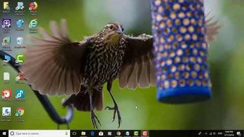 How to Use the Read Aloud Feature in Microsoft Edge on Windows 10