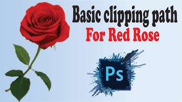 Create a clipping path & Photo Edit in Photoshop Tutorial #clippingimages #adobephotoshoptutorials