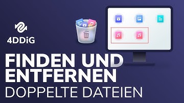 【4 Möglichkeiten】Wie Doppelte Dateien finden und entfernen? (Windows 10/11)