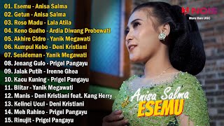 ANISA SALMA \