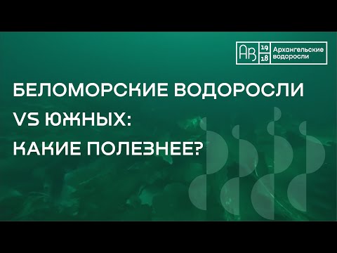 Беломорские водоросли VS южных: какие полезнее?