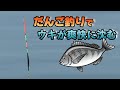 やっぱり棒ウキは楽しい！だんご釣りなら黒鯛やいろんな魚が釣れる♪