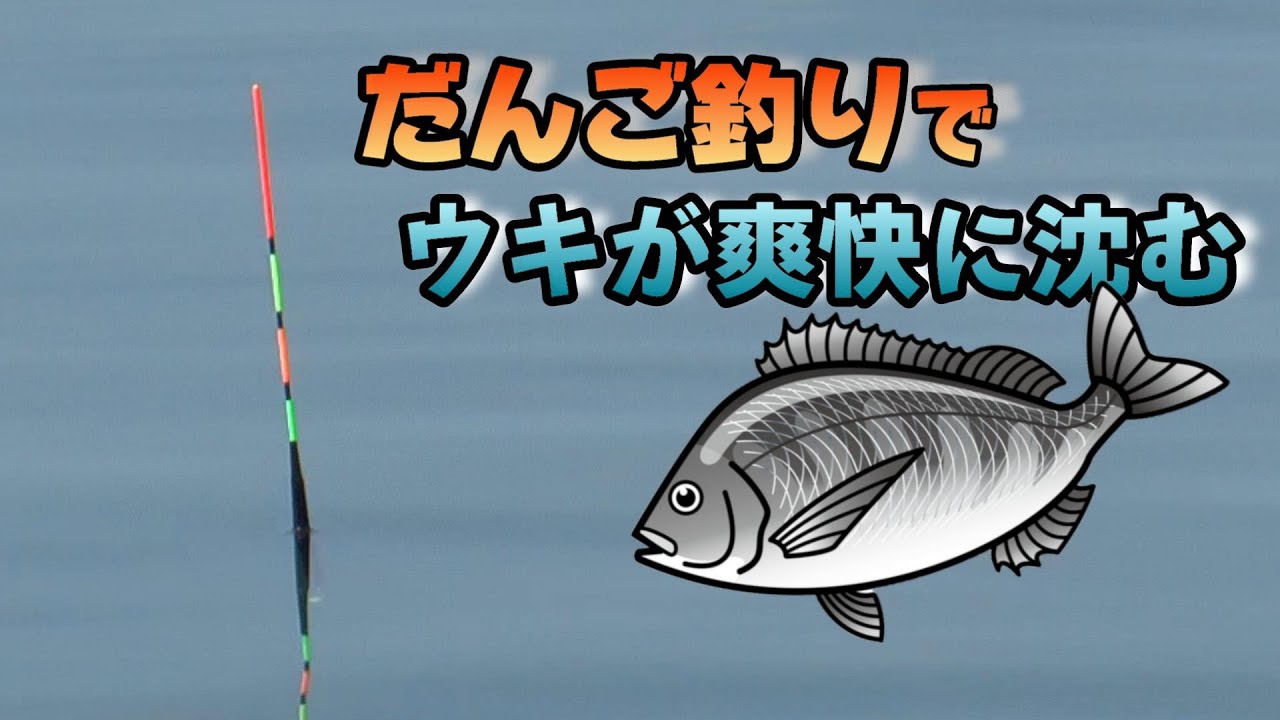 やっぱり棒ウキは楽しい！だんご釣りなら黒鯛やいろんな魚が釣れる♪
