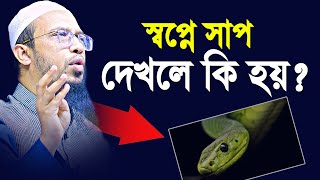 স্বপ্নে সাপ ও বিপদ দেখলে কি হয়? কখন স্বপ্ন দেখলে সত্যি হয় ? শায়খ আহমাদুল্লাহ | Shaikh Ahmadullah screenshot 5