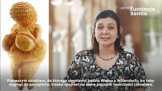 Paleolityczna Wenus z Willendorfu | Historia rzeźby w pigułce