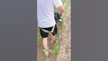 One machine for multiple uses saves time, effort and manpower Orchard greenhouse🥶#shortsvideo