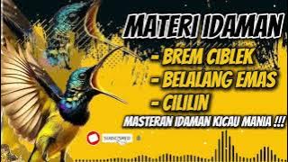 MASTERAN SOGON‼️ MATERI IDAMAN CIBLEK BELALANG DAN CILILIN #sogon #sogongacor #sogokontong