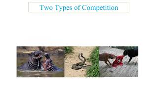 2.1 ESS Populations and Ecosystems Revision 2024