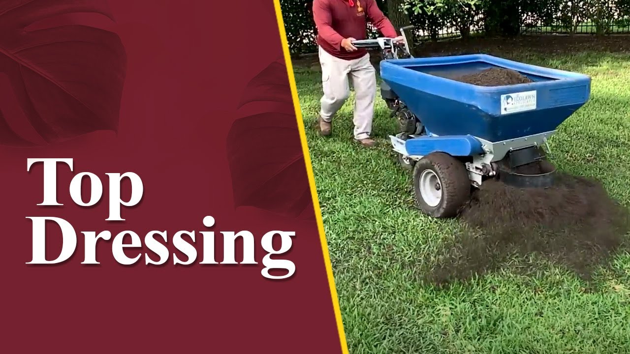 Benefits Of Top Dressing YouTube nice-recommends-new-wound-dressing-for-diabetes-patients-nursing-times