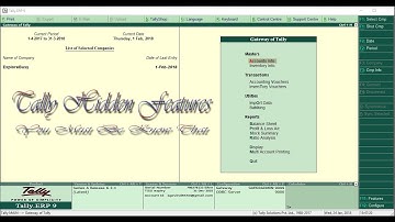 Hidden Features of Tally [You must be know that]