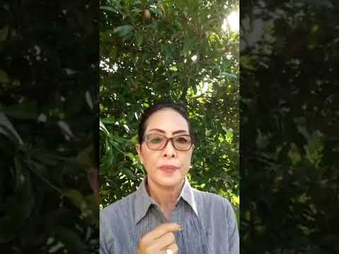 Resveratrol Vertigo