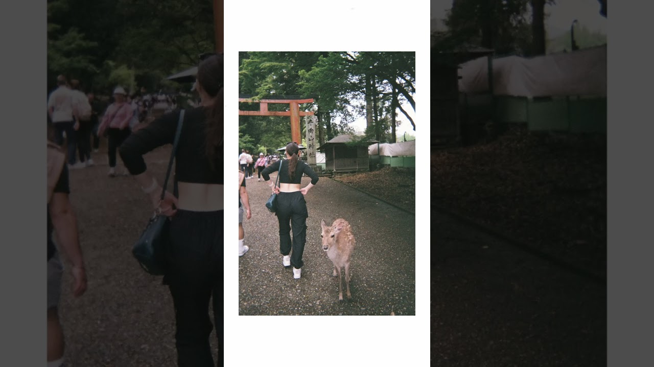 Your sign to buy a disposable camera for your travels 