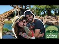 FUIMOS AL SAFARI DE DISNEY! Animal Kingdom | FAMILIA BAKERSUAVE