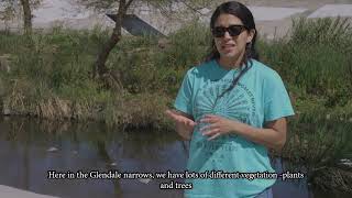 Trash Travels - How Trash on Your Street Reaches the River and Ocean