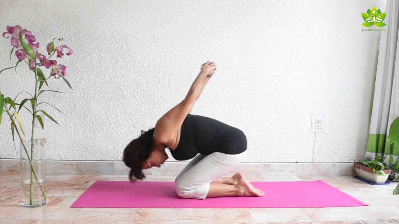 Yoga para principiantes clase 22 meditacion para principiantes