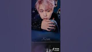 Tik tok versi kim Seok Jin bts💜 army