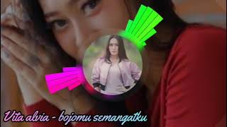 Dj santuy || Bojomu semangatku - Vita alvia