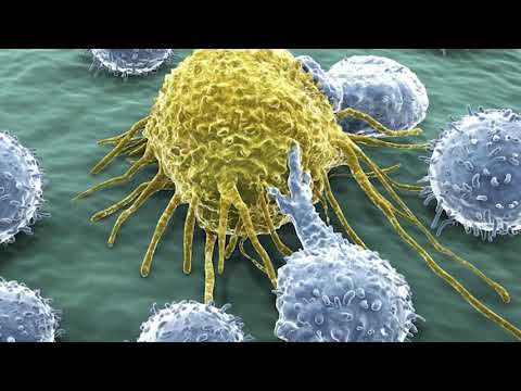 სახსრები