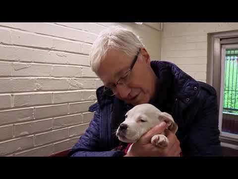 Paul O'Grady: For the Love of Dogs | What Happened Next | Episode 1 | Clip