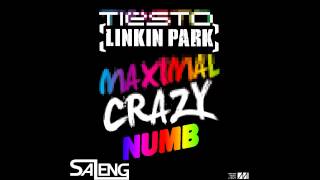 Maximal Crazy Numb - Tiesto VS. Linkin Park (Saleng Mashup)