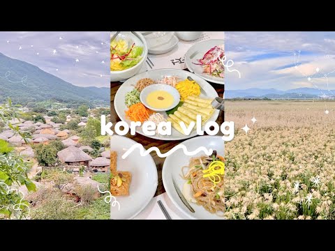 🌾 korea vlog | weekend trip to damyang bamboo forest, gwangju, suncheon wetland reserve