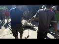 Penyembelihan Sapi Kurban RT.05 RW.08 Kelurahan Ciriung-Cibinong Idul Adha 1443H (10 juli 2022)