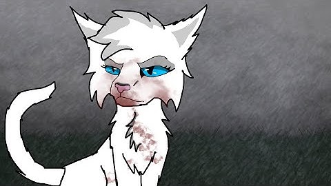 🖤 Stray Cat simulator gameplay part 1 🖤