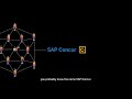 What does sap concur do