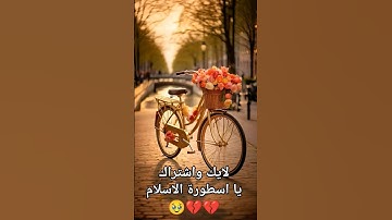 #القارئ_محمد_هشام_حسن #تلاوة_هادئة #محمد_هشام #اية_الكرسي #explore #اكسبلور