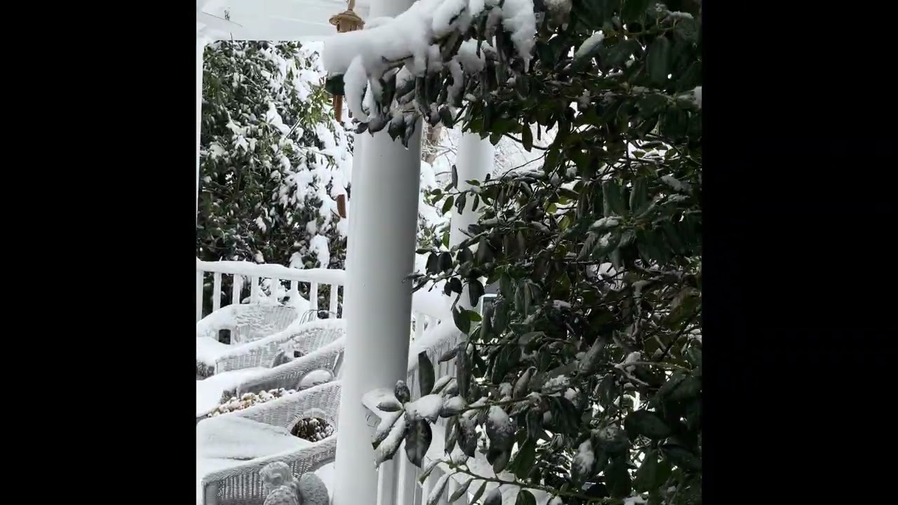 Historic winter Storm in Maryland, Feb 22 2026