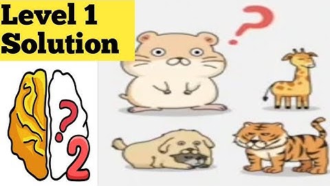 brain out 2 level 1 Solution walkthrough