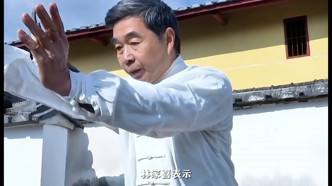 非遗永泰VOL.11丨传承800年的“出手不凡”——罗汉拳- YouTube