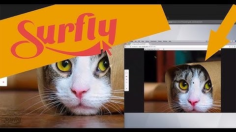 Surfly and. GoToMeeting | Co-browsing vs. Screen Sharing