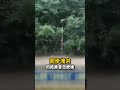白海豚還沒到「中國已淹爛」三峽大壩突開九孔洩洪！不管下游百姓「建物＋汽車全泡泥水」？！ @ebcCTime #shorts