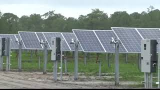 'Project Volt' promising 800 solar jobs