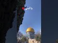 يا أنسي 