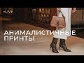 Встреча со стилистом, экс-фэшн директором Cosmopolitan и Marie Claire Анной Рыковой