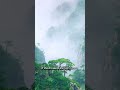 Fog Is Basically a Cloud Touching the Ground#science #calmscience #sleepdocumentary #midnightscience