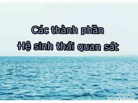 BÀI 51-52 : Thực hành Hệ Sinh Thái ( SN) - youtube