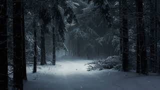 Forest with snow in winter Live Wallpaper HD screenshot 2