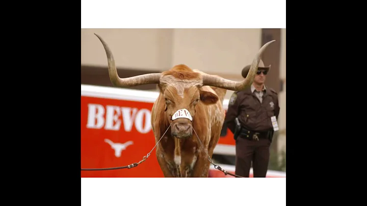 A Longhorn Christmas Wish