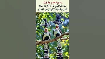 آیات اسم اعظم سوره حشر (بشیراحمد عطایی)