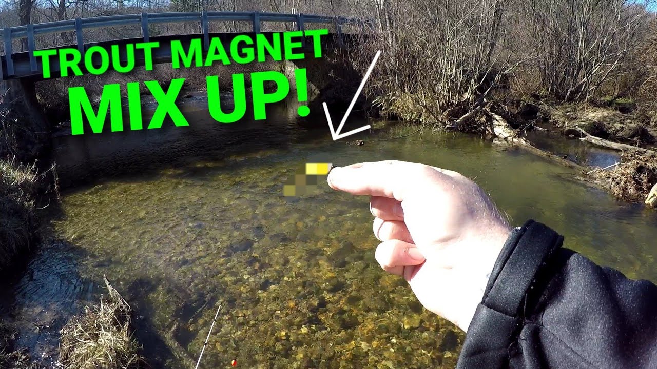 TROUT MAGNET Fishing a TINY CREEK!  Trout Fishing HODGEPODGE? 