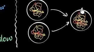 Why sexual reproduction (faster variation) | How do organisms reproduce | Biology | Khan Academy