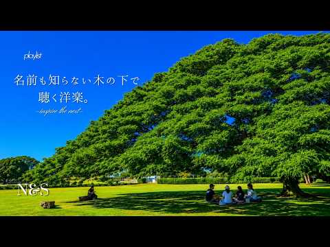 洋楽 MEDU NETR 1uv1s1zjuslyku PLAYLIST】名前も知らない木の下で聴く洋楽 -inspire the next- BGM