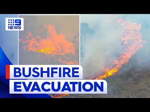 Families evacuating homes as bushfires race towards communities | 9 news australia