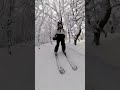 Skiing through the woods