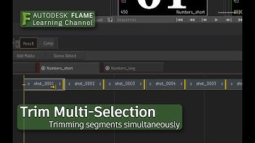 Trimming Multiple Segments - Flame 2018.1 Update