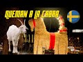 🎄 En NAVIDAD queman y atropellan a la cabra 🐐